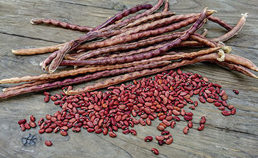 Show products in category Long Beans & Cowpeas Picture for category Long Beans & Cowpeas