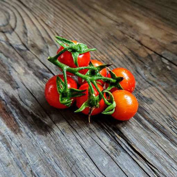 Anmore Dewdrop Tomato Seeds Anmore Dewdrop Tomato Seeds
