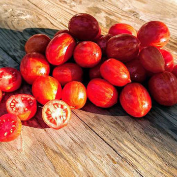 Firecracker Tomato Seeds Firecracker Tomato Seeds