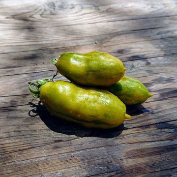 Green Sleeves Green Sausage Tomato Seeds Green Sleeves Green Sausage Tomato Seeds