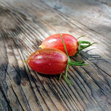 Maglia Rosa Tomato Seeds Maglia Rosa Tomato Seeds