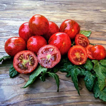 Rambling Red Stripe Tomato Seeds Rambling Red Stripe Tomato Seeds