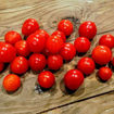 Tumbling Tom Red Tomato Seeds