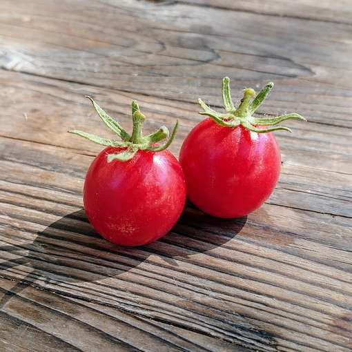 Whippersnapper Tomato Seeds