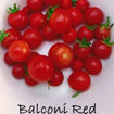 Balkoni Red Tomato Seeds