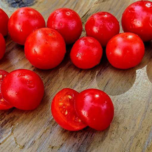 Balkonzauber Tomato Seeds
