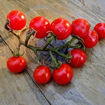 Candy Berry Tomato Seeds