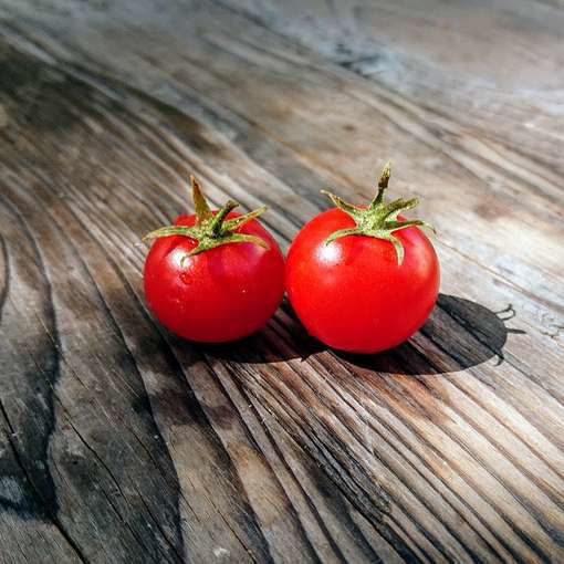 Florida Petite Tomato Seeds