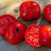 Mongolian Dwarf Tomato Seeds
