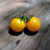 Nebolshoy Limon Tomato Seeds