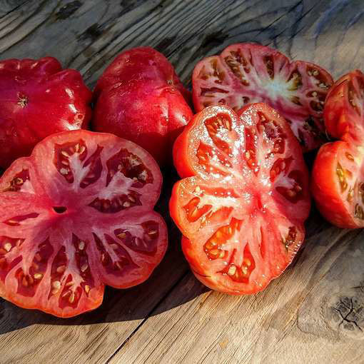 Appetitnyi Tomato Seeds