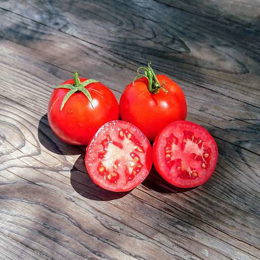 Beliy Naliv Tomato Seeds