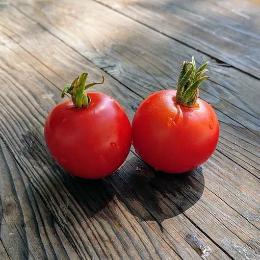 Bloody Butcher Tomato Seeds