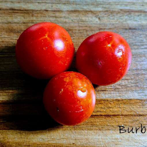 Burbank Tomato Seeds