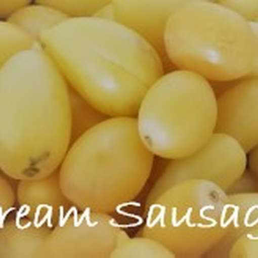 Cream Sausage Tomato Seeds