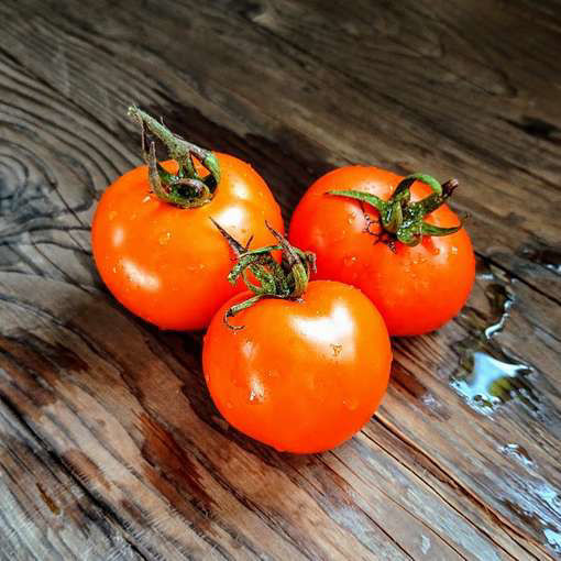 Gold Dust Tomato Seeds