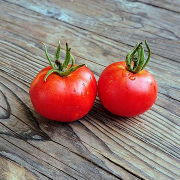 Jani Tomato Seeds Jani Tomato Seeds