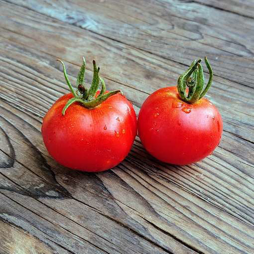 Jani Tomato Seeds