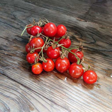Koralik Tomato Seeds Koralik Tomato Seeds