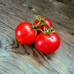 Legend Tomato Seeds