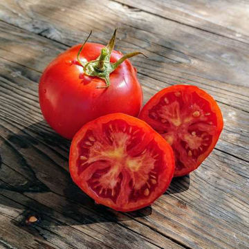 Marglobe Tomato Seeds Marglobe Tomato Seeds