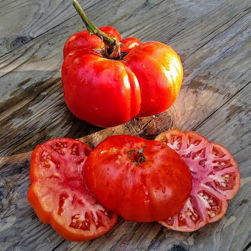 Nuznyi Razmer Tomato Seeds