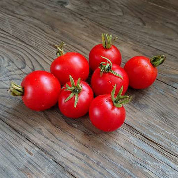 https://merakiseeds.com/images/thumbs/0001308_outdoor-girl-tomato_360.jpeg