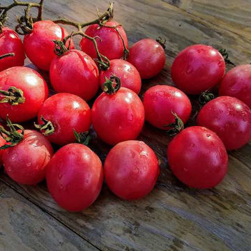 Pink Thai Egg Tomato Seeds Pink Thai Egg Tomato Seeds