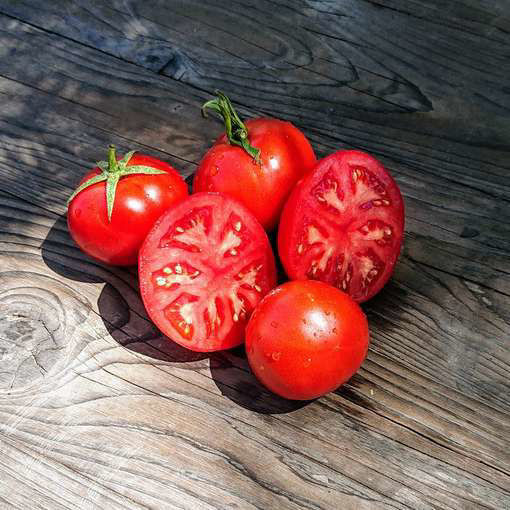 Promyk Tomato Seeds
