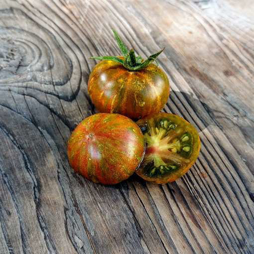 Aftershock Dwarf Tomato Seeds