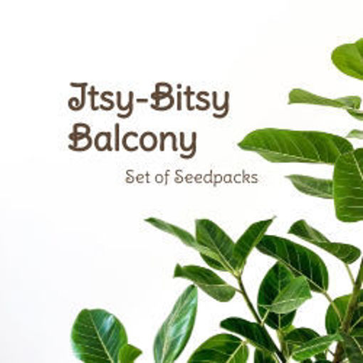 Itsy-Bitsy Balcony Set of Seedpacks Tomato Seeds
