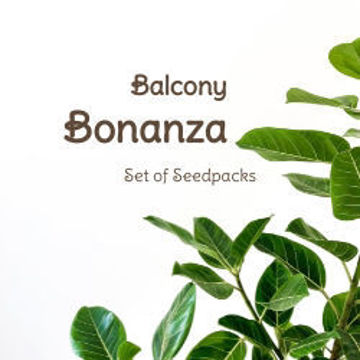 Balcony Bonanza Set of Seedpacks Tomato Seeds Balcony Bonanza Set of Seedpacks Tomato Seeds