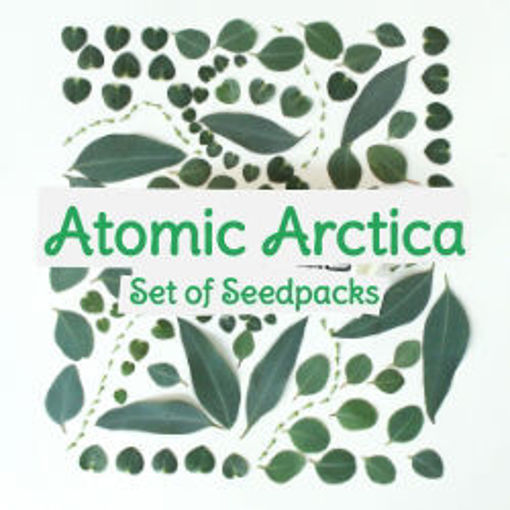 Atomic Arctica Set of Seedpacks Tomato Seeds