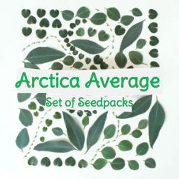 Arctica Average Set of Seedpacks Tomato Seeds Arctica Average Set of Seedpacks Tomato Seeds