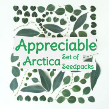 Appreciable Arctica Set of Seedspacks Tomato Seeds Appreciable Arctica Set of Seedspacks Tomato Seeds