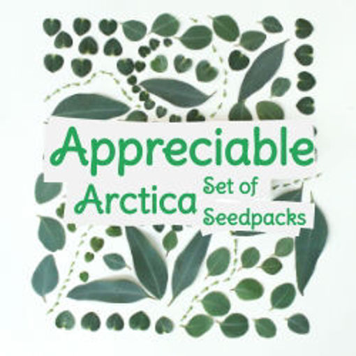 Appreciable Arctica Set of Seedspacks Tomato Seeds