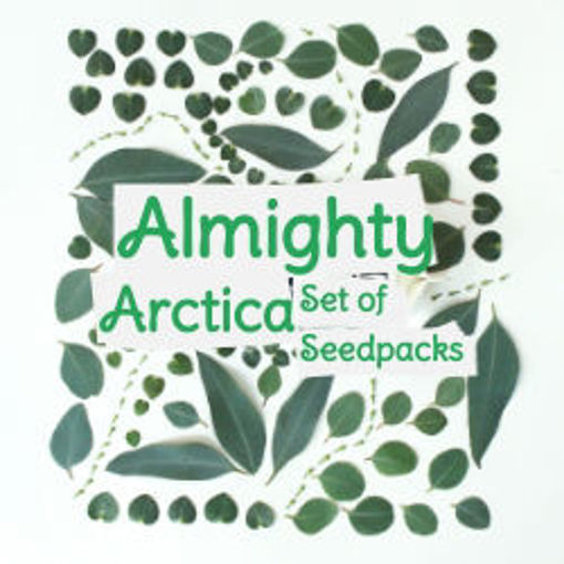 Arctica Almighty Set of Seedpacks Tomato Seeds