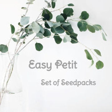 Easy Petit Set of Seedpacks Tomato Seeds Easy Petit Set of Seedpacks Tomato Seeds