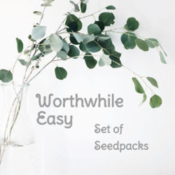 Worthwhile Easy Set of Seedspacks Tomato Seeds Worthwhile Easy Set of Seedspacks Tomato Seeds