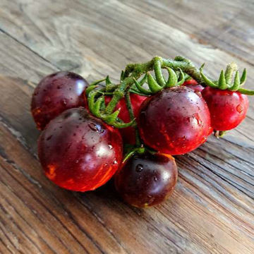 Antho Striped Dwarf  Tomato Seeds Antho Striped Dwarf  Tomato Seeds