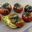 Copperhead Dwarf Tomato Seeds