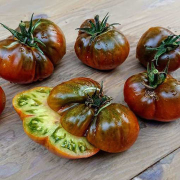 Desperado Tomato-Meraki Seeds