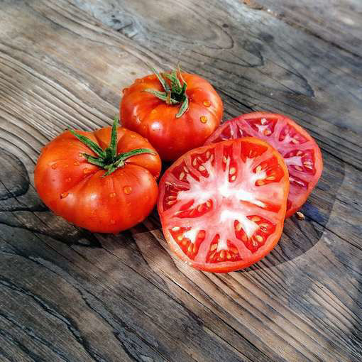 Dwarf Canadian Tomato Seeds