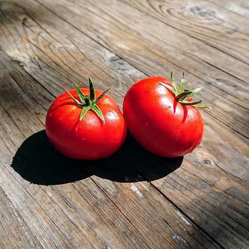 Father Frost Tomato Seeds