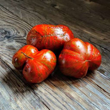 Large Barred Boar Tomato Seeds Large Barred Boar Tomato Seeds