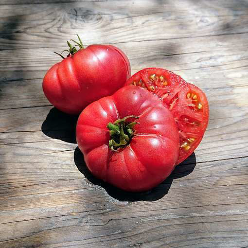 New Big Dwarf Tomato Seeds