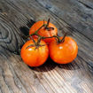 Orange Pixie Dwarf Tomato Seeds