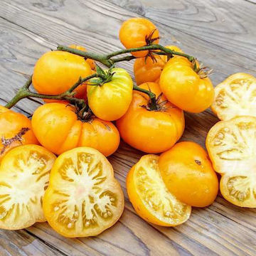 Desperado Tomato-Meraki Seeds