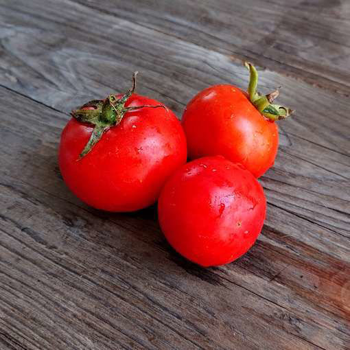 Scoresby Dwarf Tomato Seeds