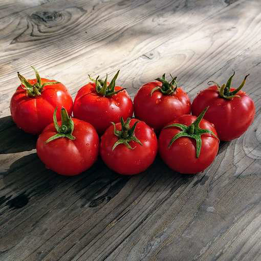 Seven Gnomes Tomato Seeds